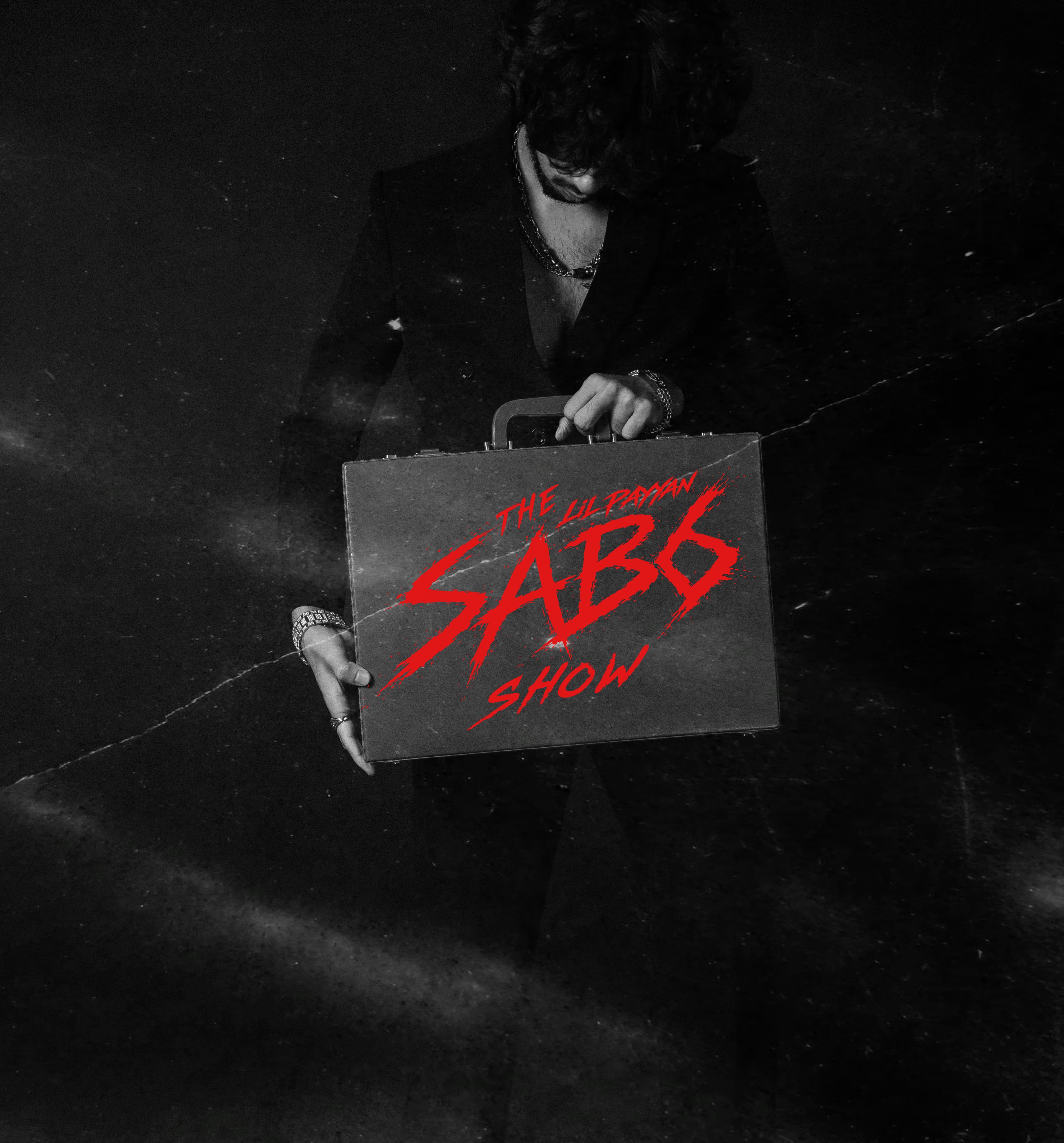SAB6 Artist Profile